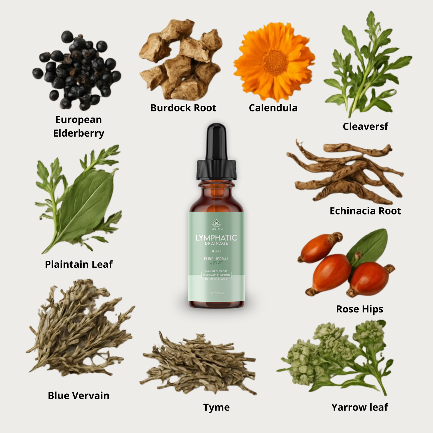Daily Lymph Reset — The 11-Herb Formula That Reveals Your Real Shape