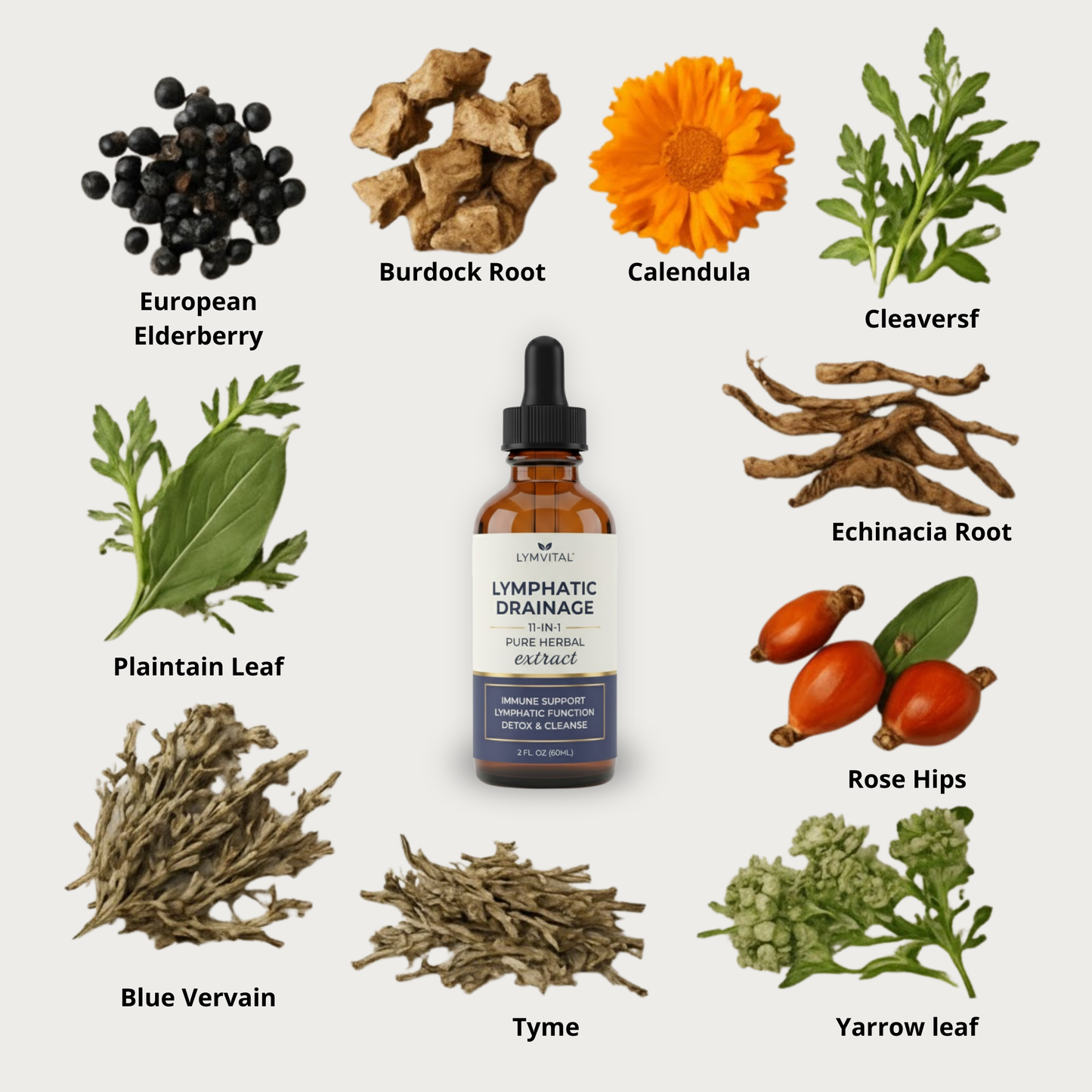 Daily Lymph Reset — The 11-Herb Formula That Reveals Your Real Shape