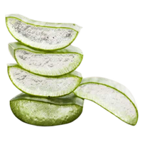 Aloe Barbadensis Leaf Extract
