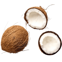 Cocos Nucifera (Coconut) Oil